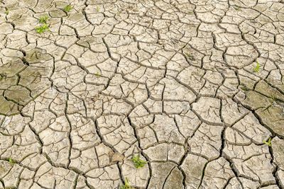 Full frame shot of cracked field