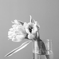 Close-up of hand over white background