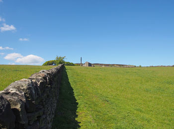 Scenic view of field against clear blue sky