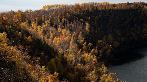 Scenic view of river in forest against sky