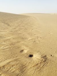 Sand dunes in desert against sky