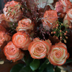 Close-up of rose bouquet