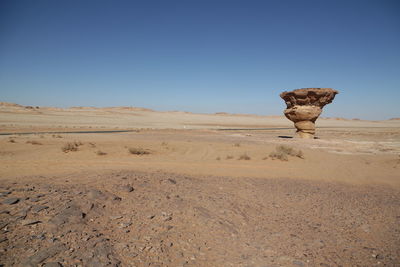 Old history in the antique kingdom of saudi arabia