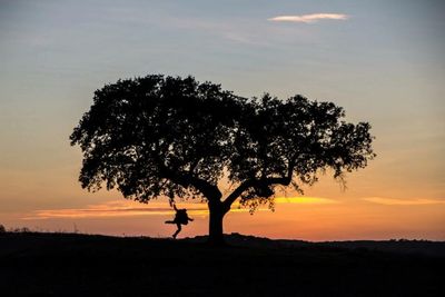 Silhouette of trees on landscape at sunset