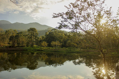 Reflection of trees in lake against sky