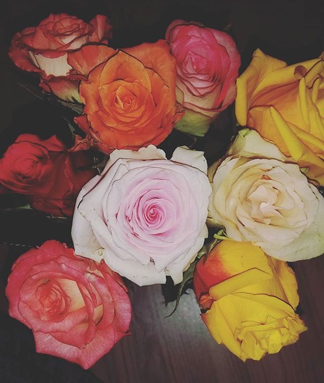 MOREROSES