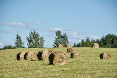 Hay bales on field against sky