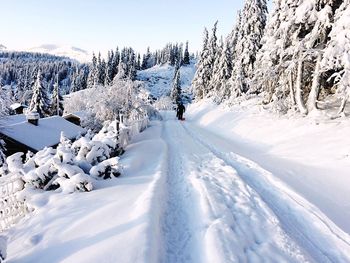 Scenic view of snow covered mountain