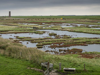 Scenic view of field by lake against sky