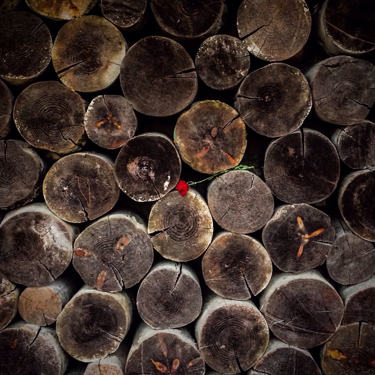 large group of objects, abundance, stack, backgrounds, firewood, full frame, stone - object, lumber industry, deforestation, log, pebble, heap, timber, textured, wood - material, arrangement, outdoors, no people, circle, pattern