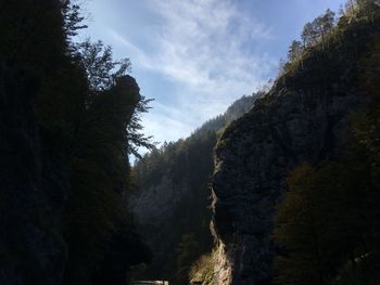 Low angle view of trees and mountains against sky