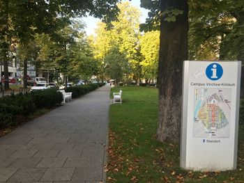 Road sign on footpath by trees