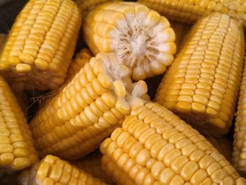 Close-up of fresh vegetables