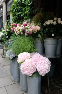 Close-up of pink flower pot
