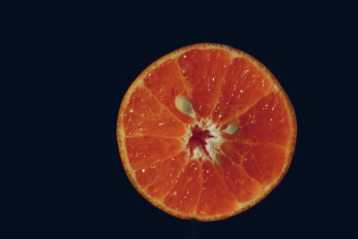 fruit
