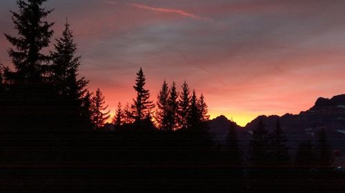 Silhouette trees against sky at sunset