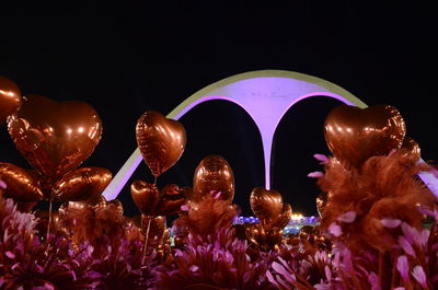 Close-up of purple flowers at night