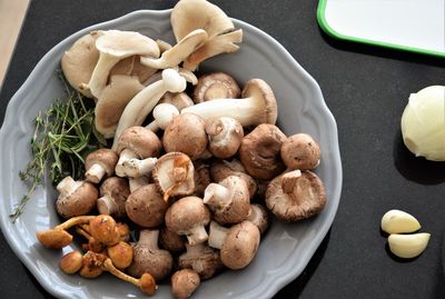 High angle view of mushrooms in container on table
