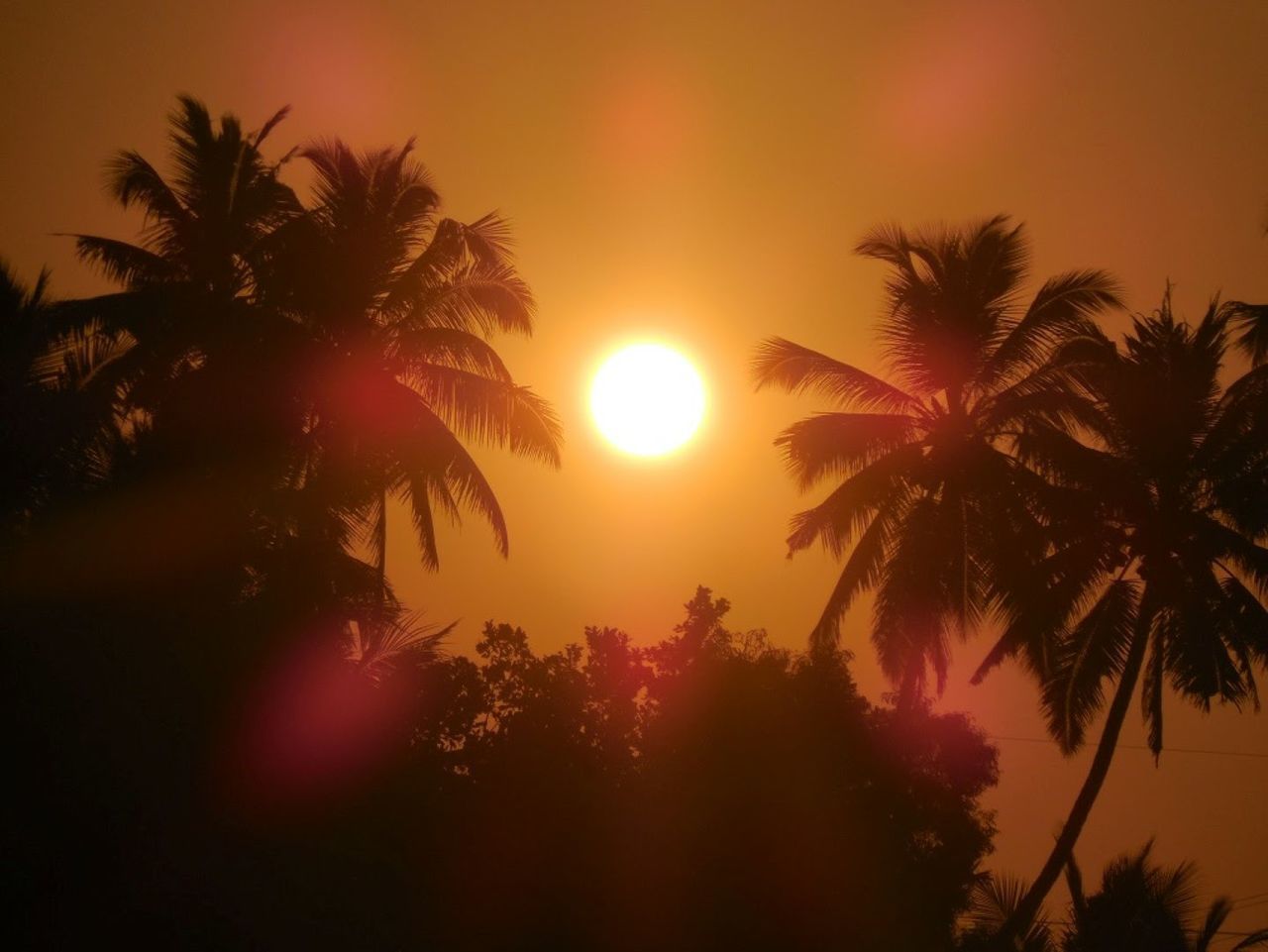 LOW ANGLE VIEW OF SILHOUETTE PALM TREES AGAINST SKY DURING SUNSET