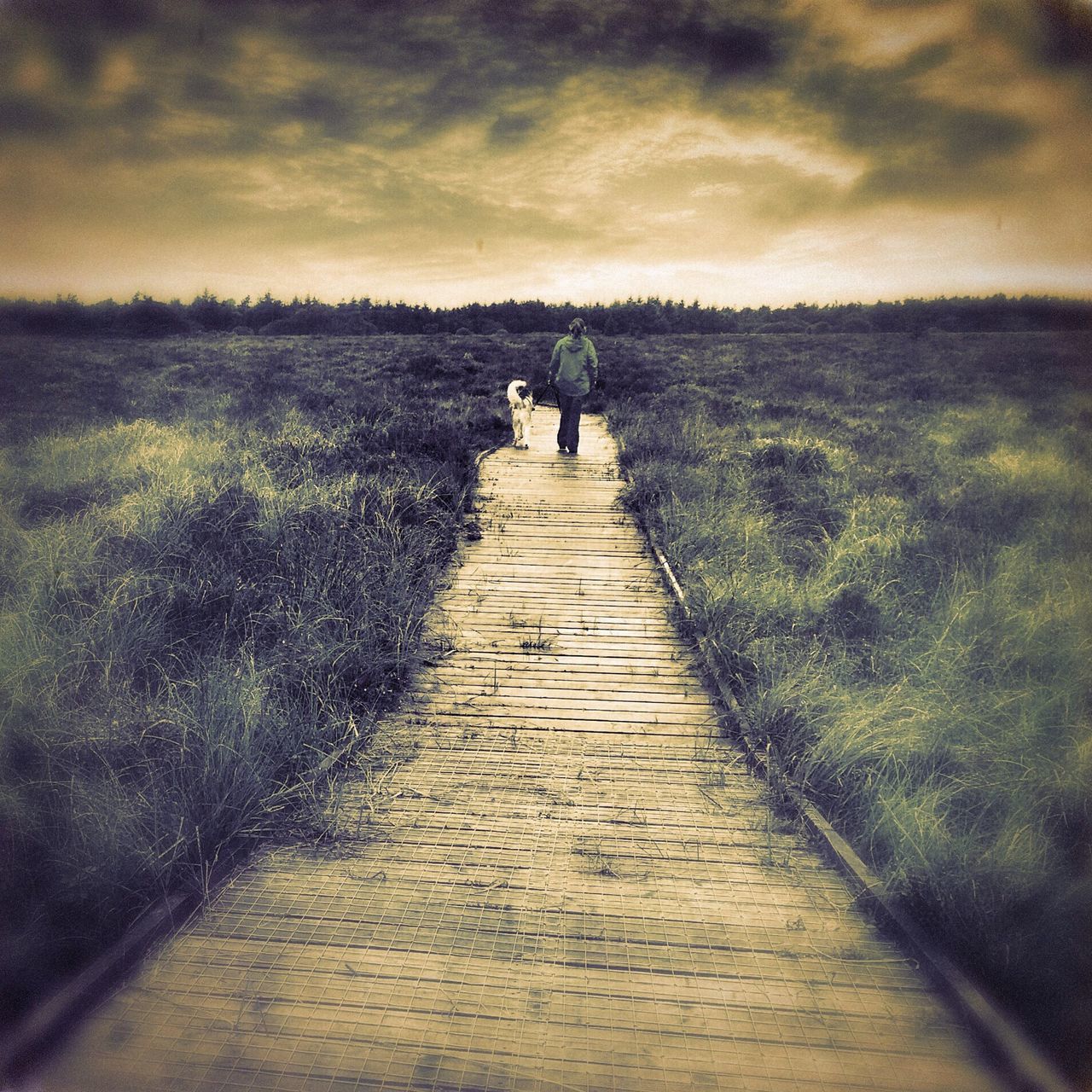 the way forward, sky, walking, grass, leisure activity, men, rear view, lifestyles, full length, tranquility, landscape, nature, togetherness, tranquil scene, cloud - sky, field, person, beauty in nature