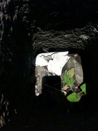 Close-up of broken wall