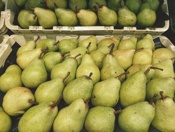 Fruits for sale at market stall