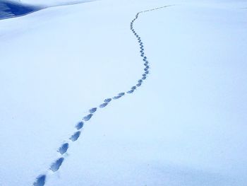 Close-up of snow on field during winter