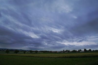 Scenic view of agricultural field against sky