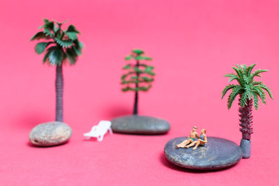 Close-up of figurines and trees on pink background