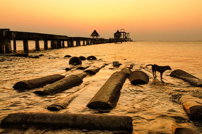 Scenic view of sea at sunset