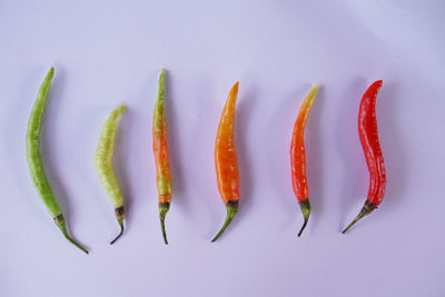 Close-up of chili pepper against white background