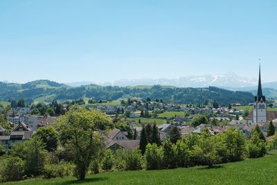 Trees and houses in town against clear sky