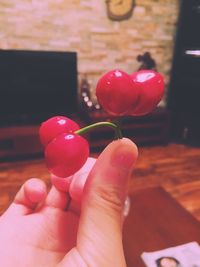 Close-up of hand holding red balloons