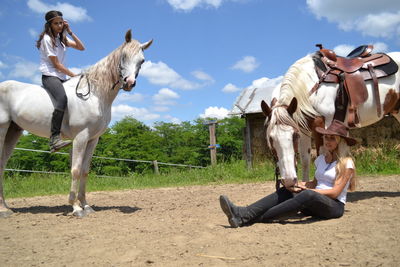 Horses on field against sky