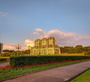 View of flowering plants in garden against cloudy sky