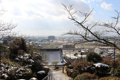 High angle view of bare trees and buildings against sky