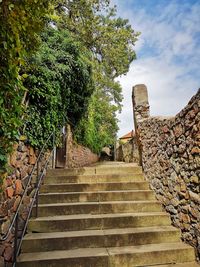 Low angle view of steps amidst trees against sky