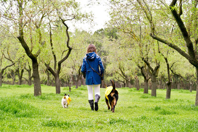 Woman with dogs walking in public park