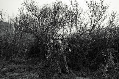 Bare trees in forest during winter
