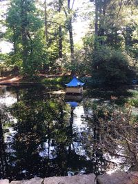 Reflection of trees in lake