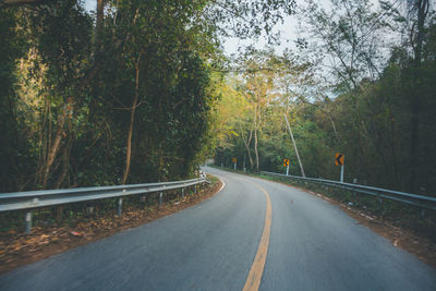 Road amidst trees in forest