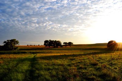 Scenic view of field against sky during sunset