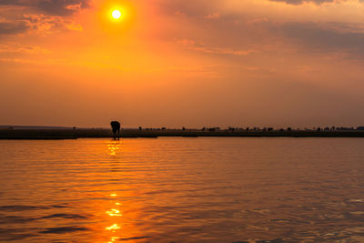 Scenic view of sea against orange sky