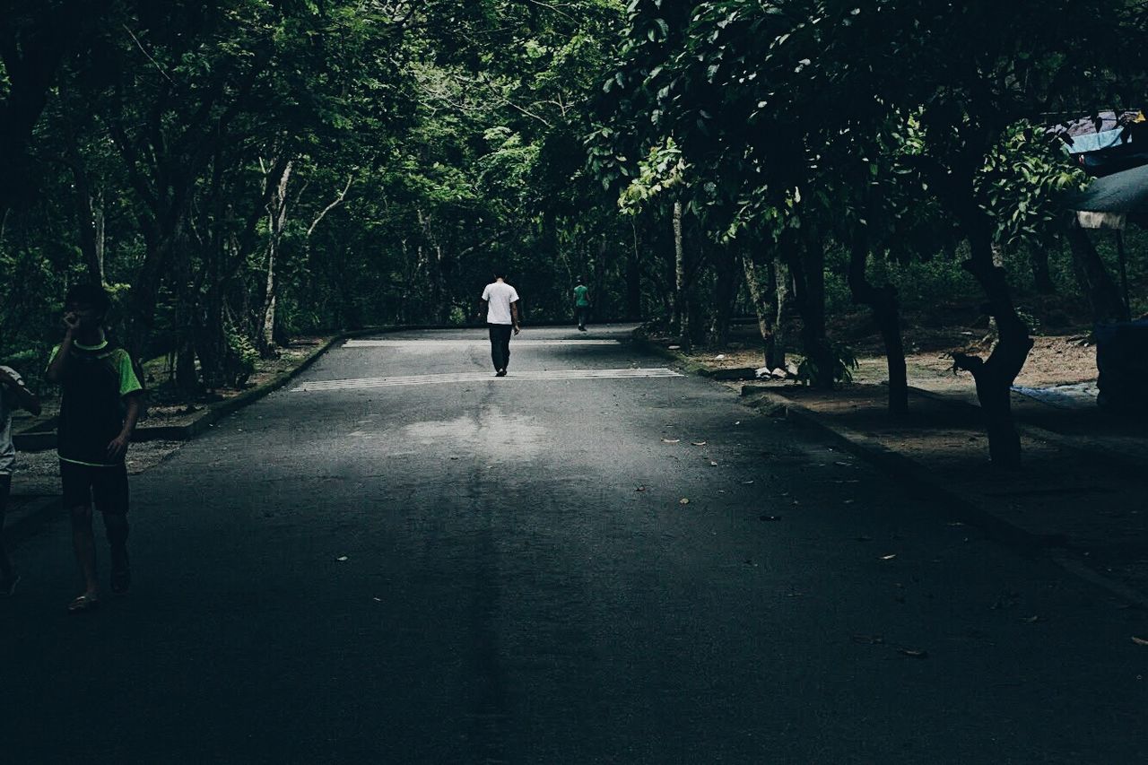 tree, plant, real people, lifestyles, direction, the way forward, nature, full length, rear view, walking, leisure activity, day, people, growth, men, transportation, footpath, women, outdoors