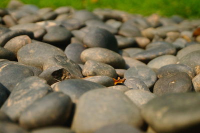 Close-up of stones on pebbles