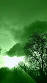 Low angle view of trees against cloudy sky