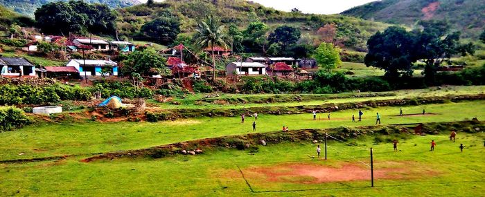 Scenic view of grassy field