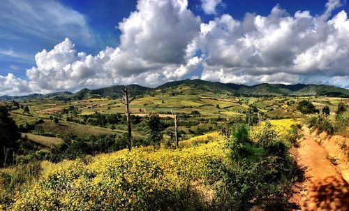 Panoramic view of landscape against sky