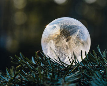 Close-up of crystal ball on field