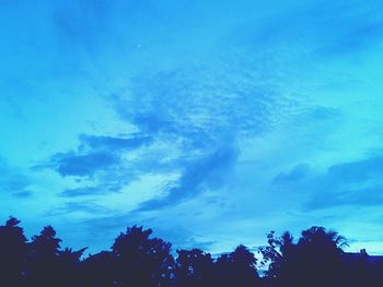 Low angle view of trees against blue sky
